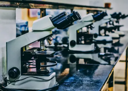 Shire Case Study Image