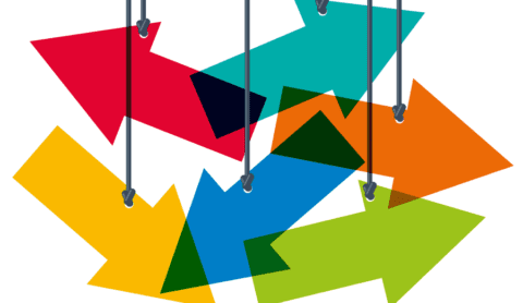 making the decision to invest in lms