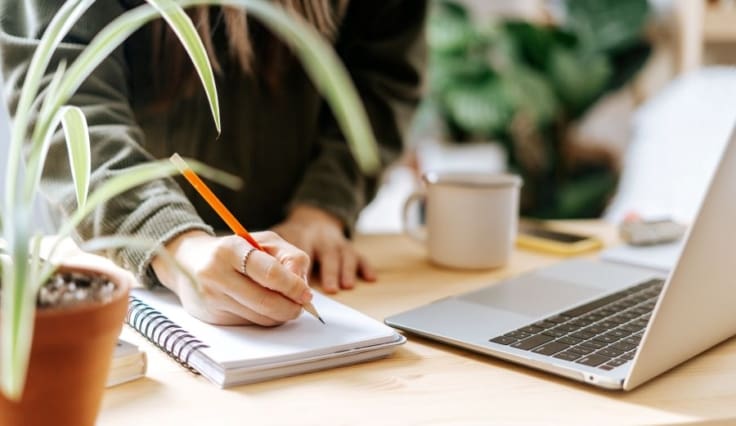 woman working on laptop with plant