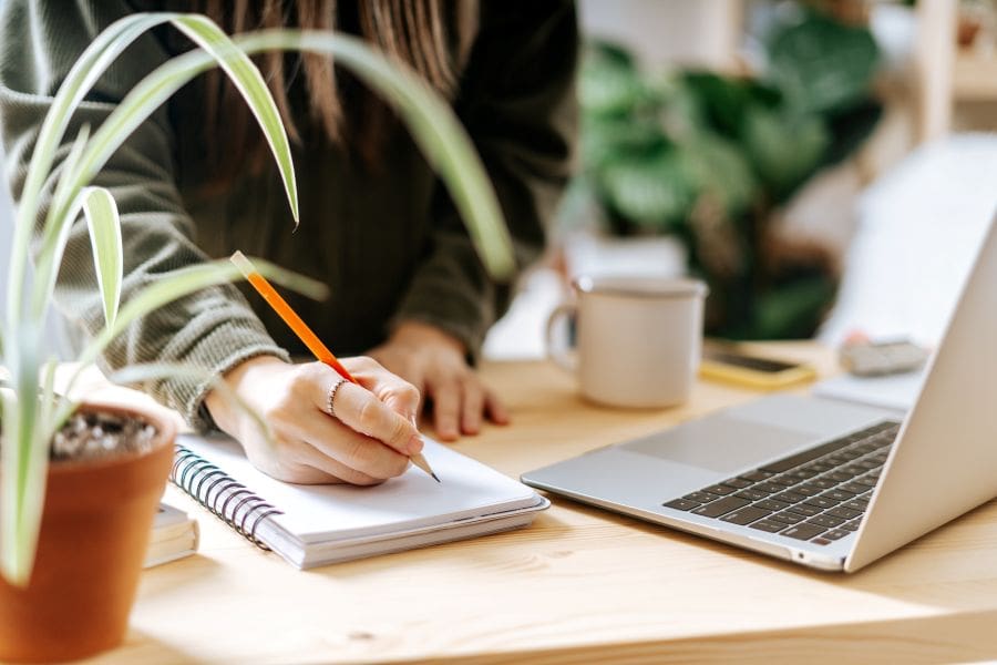woman working on laptop with plant woman working on laptop with plant